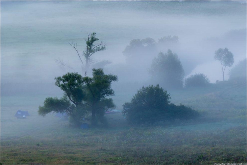 Mist Kingdom