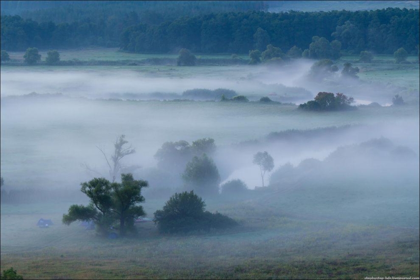 Mist Kingdom