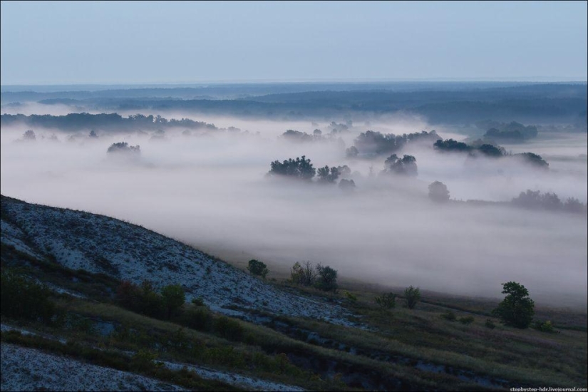 Mist Kingdom