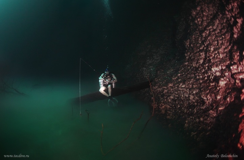 Misterioso río submarino fluye a lo largo del fondo del océano en México