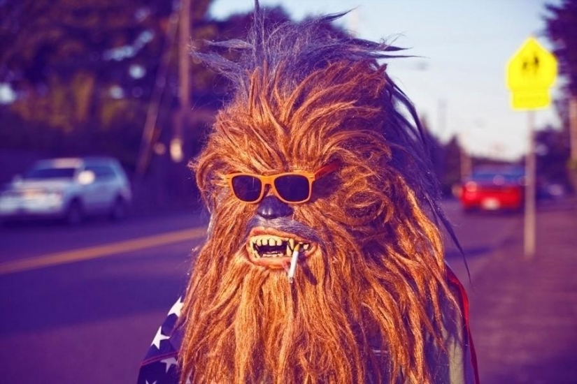 Monstruos wookiee de Star Wars en la vida cotidiana