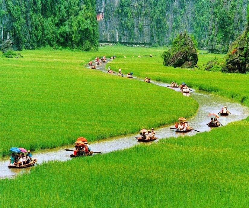 Montañas y campos de arroz Hay Kok