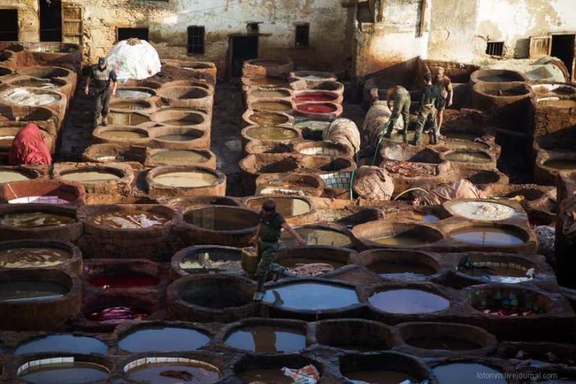 Morocco: Fes Leather Workshops