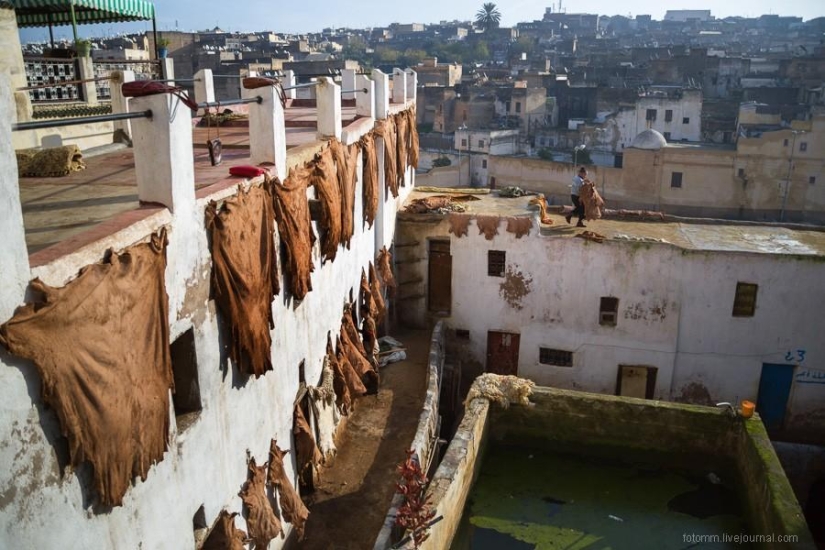 Morocco: Fes Leather Workshops