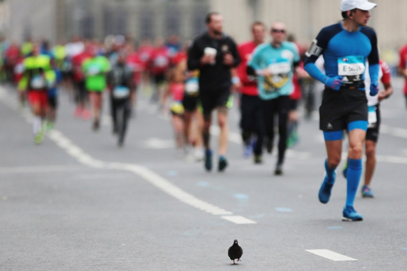 Moscú corriendo: todos los personajes de la Maratón de Moscú