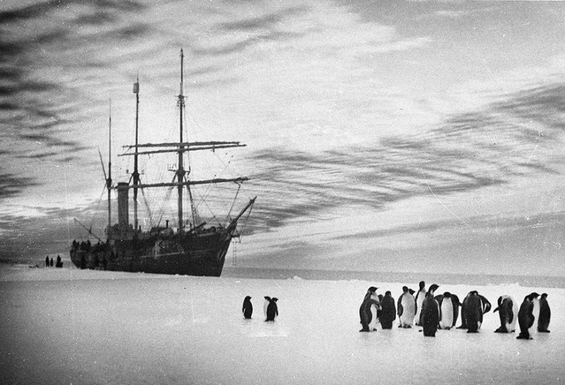 Most impressive photos of Antarctica beginning of the XX century