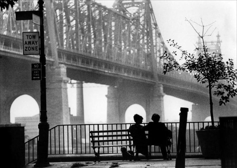 Most inspiring cities for Woody Allen