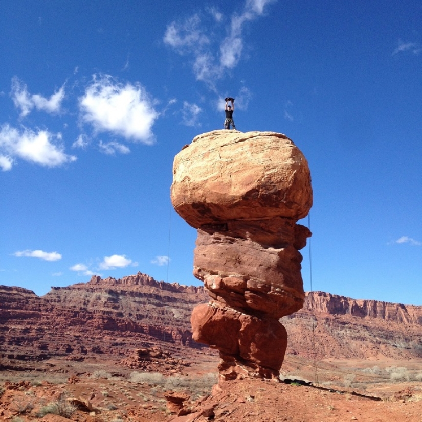 My climber: the world&#39;s first cat-climber