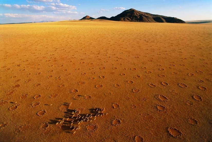 Mysterious circles in Namibia