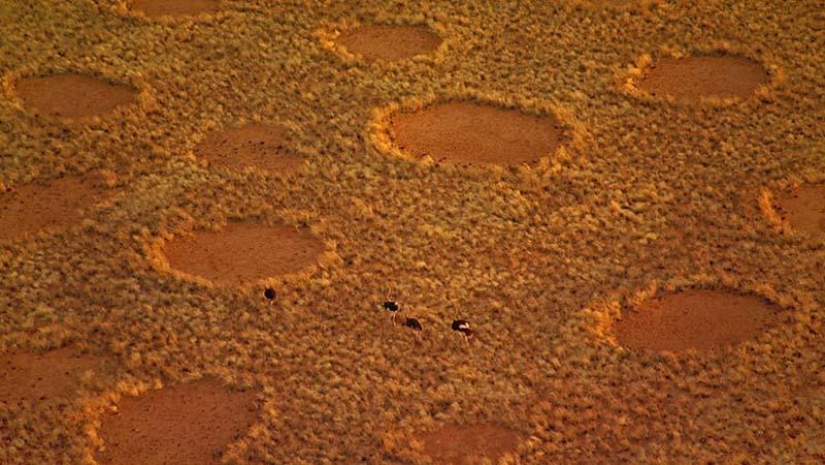 Mysterious circles in Namibia