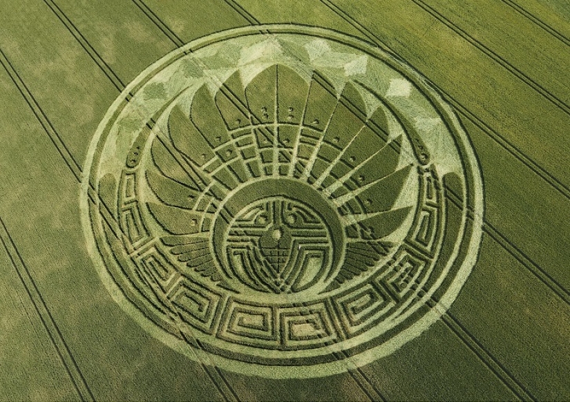 Mysterious crop circles in Wiltshire