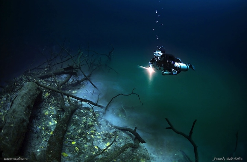Mysterious underwater river flows along the ocean floor in Mexico