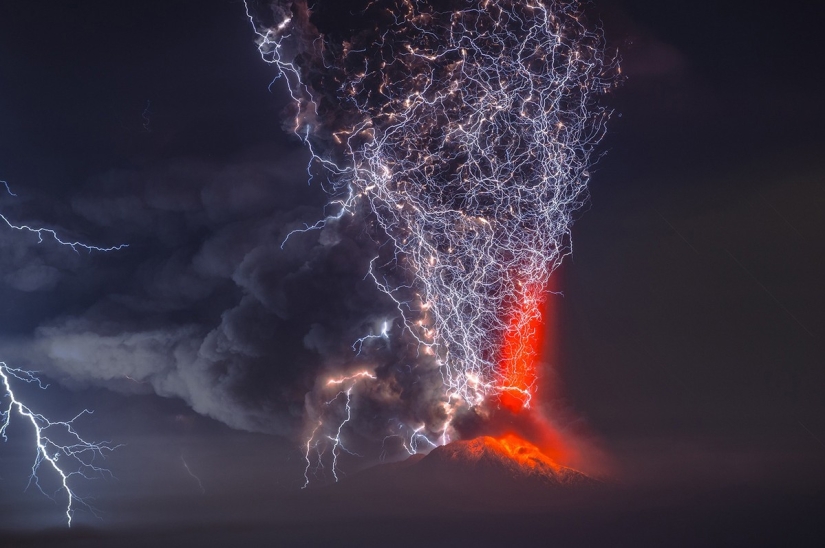 National Geographic Photo Contest 2015: Top Contenders to Win