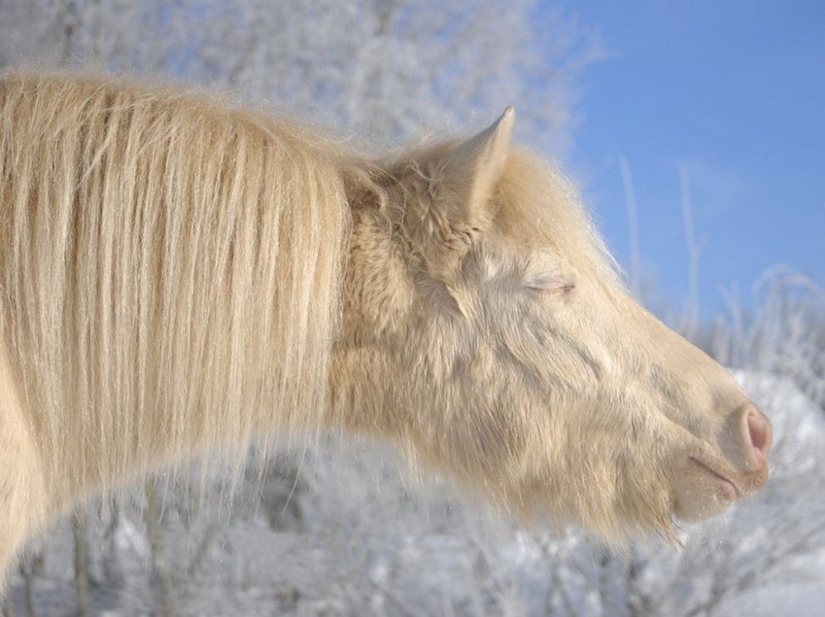 National Geographic&#39;s Best Shots of the Year