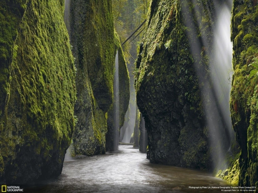 National Geographic&#39;s Best Shots of the Year