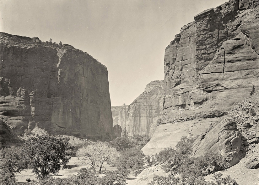 Nature of the Wild West 150 years ago