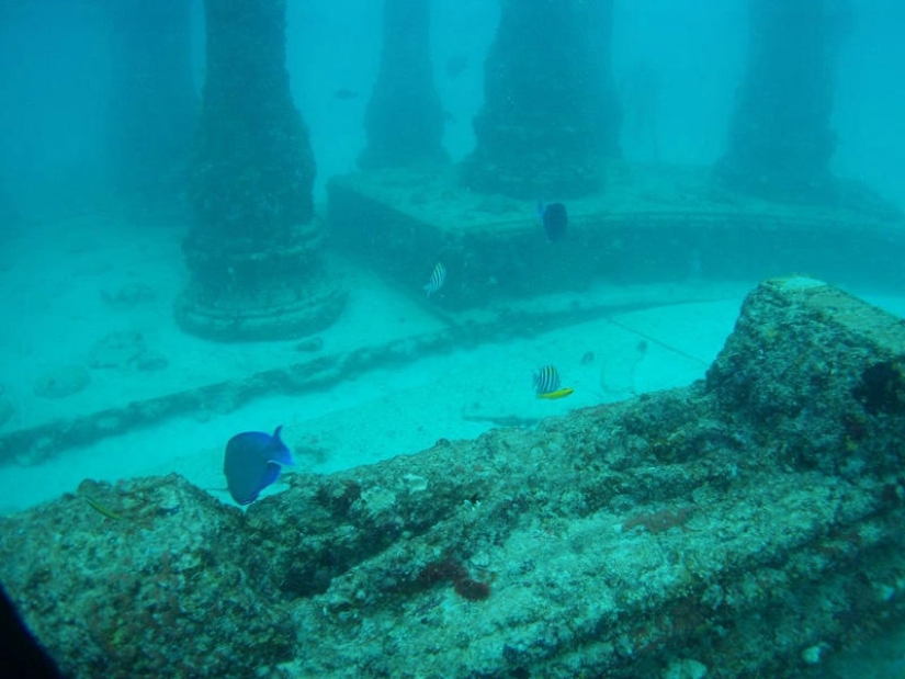Neptune Memorial: un cementerio submarino frente a la costa de Florida