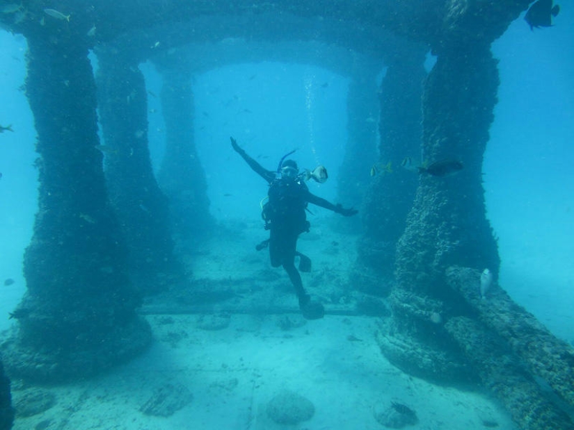 Neptune Memorial: un cementerio submarino frente a la costa de Florida