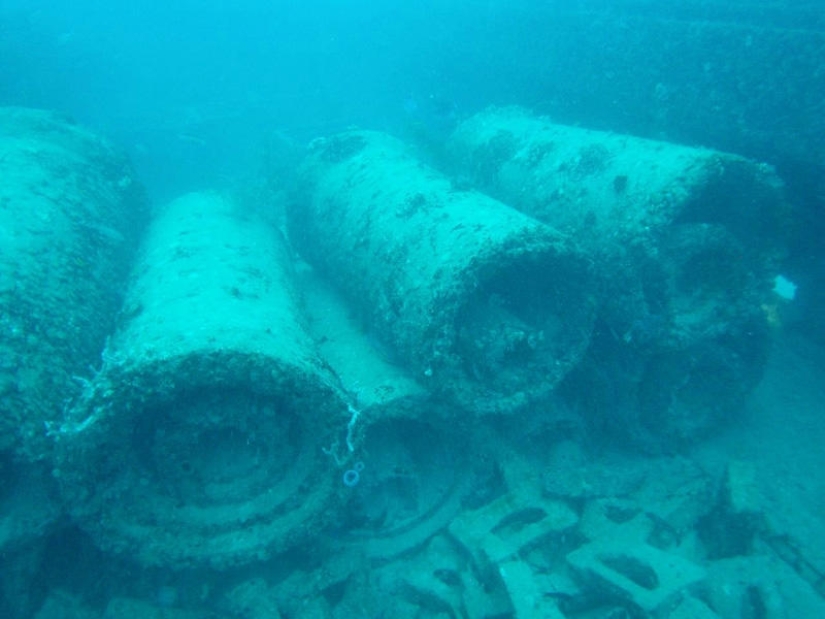 Neptune Memorial: un cementerio submarino frente a la costa de Florida