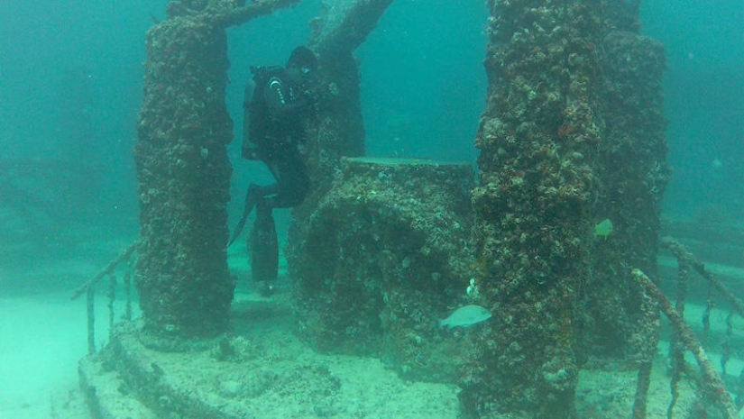 Neptune Memorial: un cementerio submarino frente a la costa de Florida