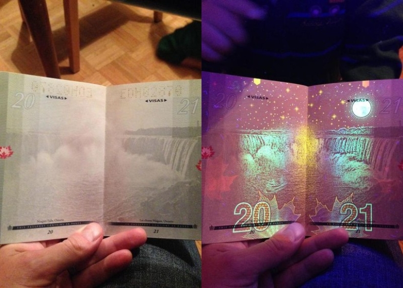 New passport of a citizen of Canada in the light of ultraviolet