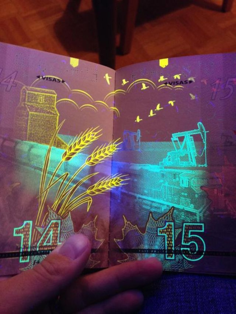 New passport of a citizen of Canada in the light of ultraviolet