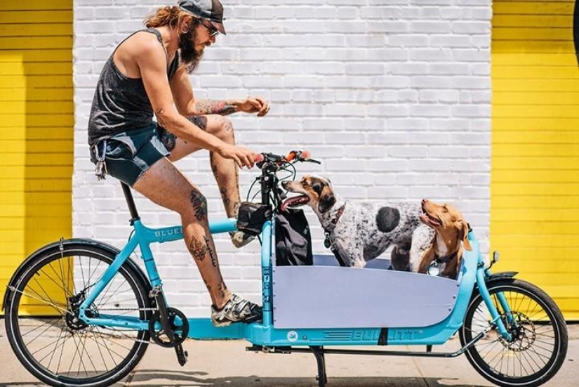 New Yorkers and their bikes