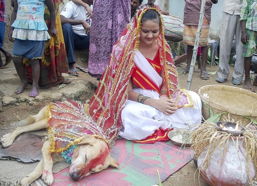Niña india se casa con perro para romper maldición