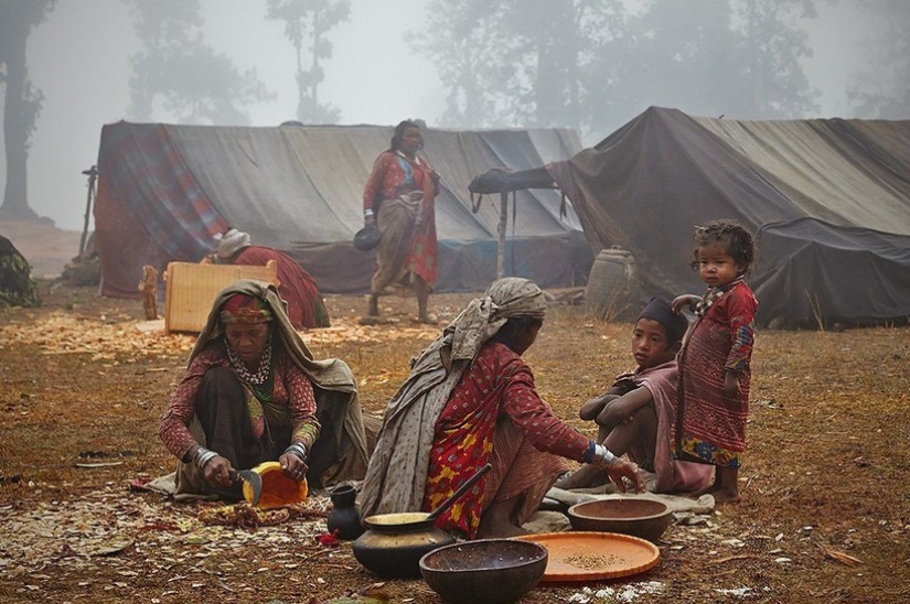 Nomads of raute — how the primitive tribe lives, whose days are numbered