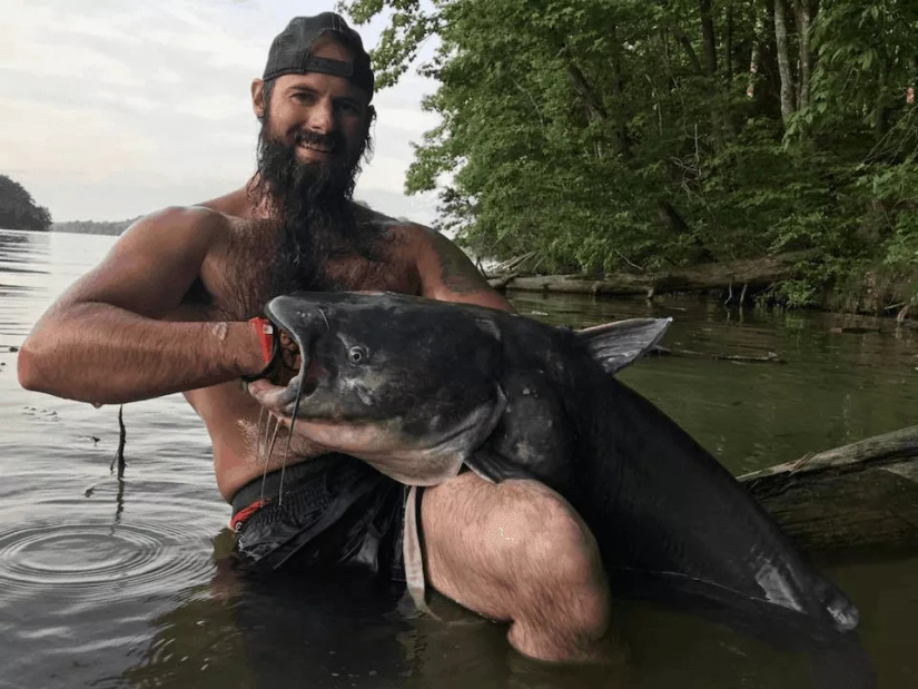 Noodling - unusual fishing for the most courageous