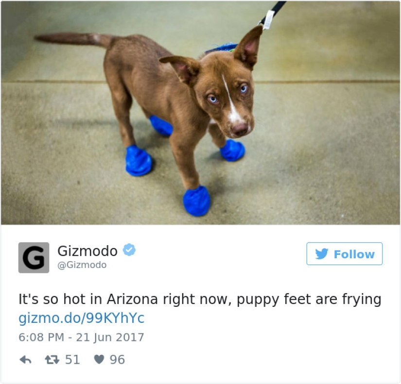 Nuestro verano se ha ido a Arizona: Los estadounidenses publican fotos de cómo todo se derrite a su alrededor