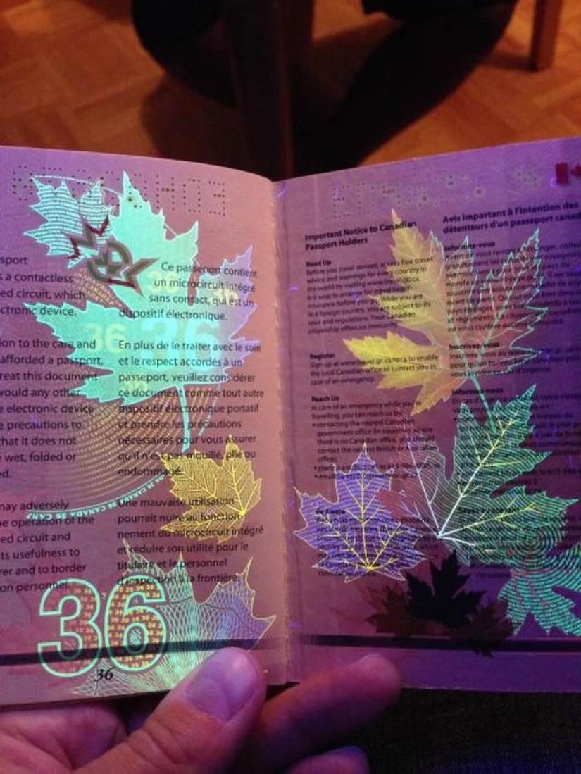 Nuevo pasaporte de un ciudadano de Canadá a la luz del ultravioleta