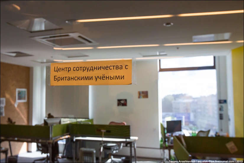 Oficina de Yandex en San Petersburgo