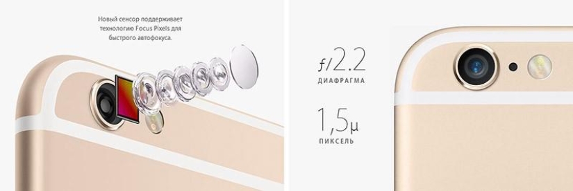 On September 26, sales of the iPhone 6 and iPhone 6 Plus begin in Russia