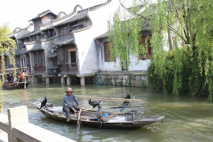 One day in the &quot;Chinese Venice&quot;