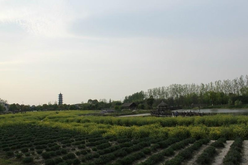 One day in the &quot;Chinese Venice&quot;