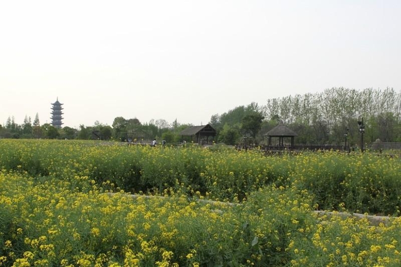 One day in the &quot;Chinese Venice&quot;