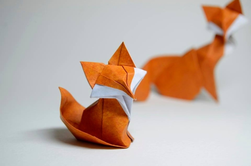 Origami húmedo de Hoang Tien Kuet