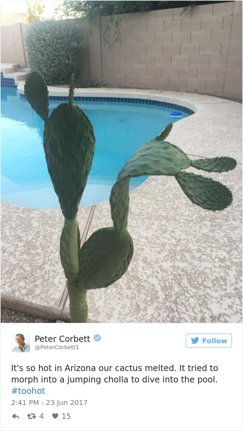 Our summer has gone to Arizona: Americans post photos of how everything melts around