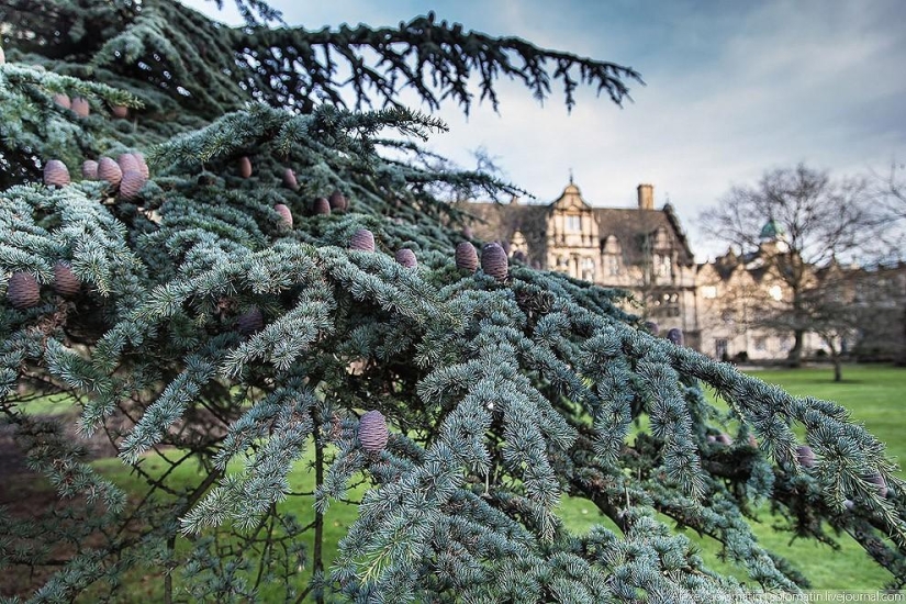 Oxford. Universidad de Oxford. Día del Conocimiento de Navidad