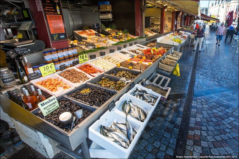 Oysters for three kopecks or a fish market on the shores of the English Channel