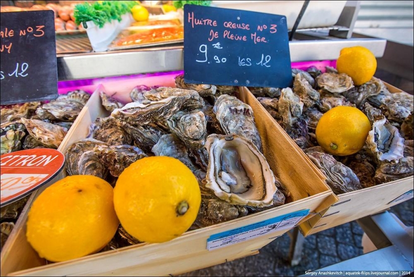 Oysters for three kopecks or a fish market on the shores of the English Channel