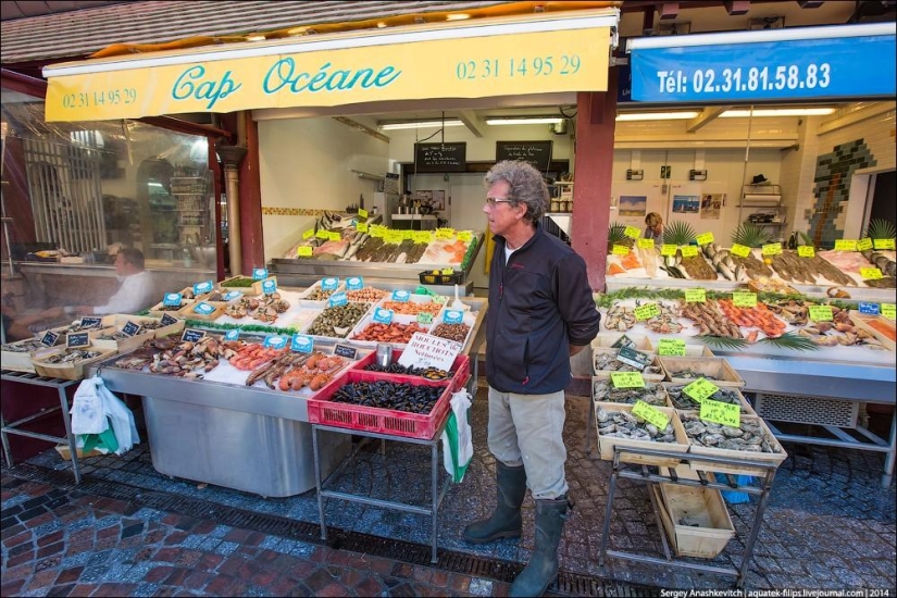 Oysters for three kopecks or a fish market on the shores of the English Channel