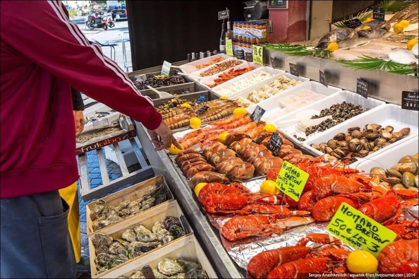 Oysters for three kopecks or a fish market on the shores of the English Channel