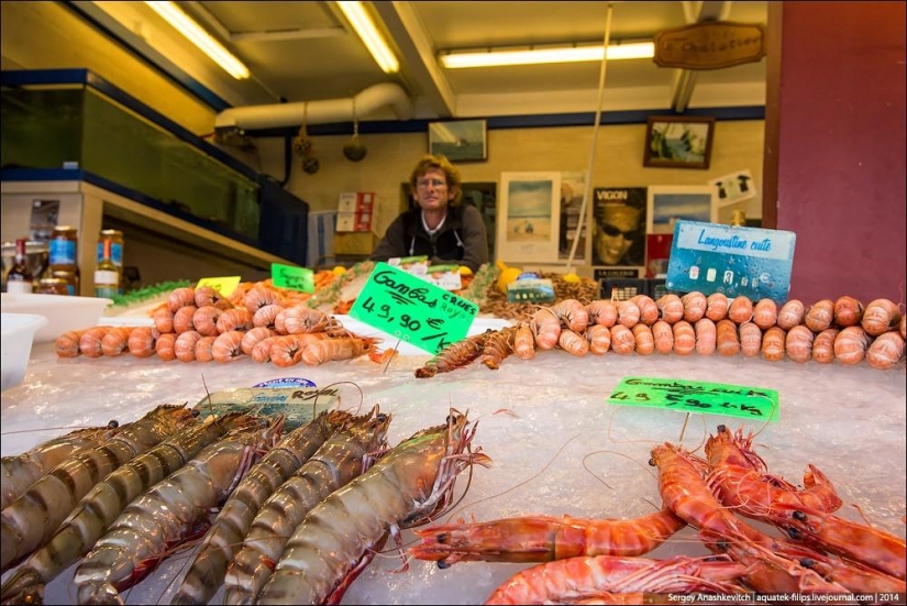 Oysters for three kopecks or a fish market on the shores of the English Channel