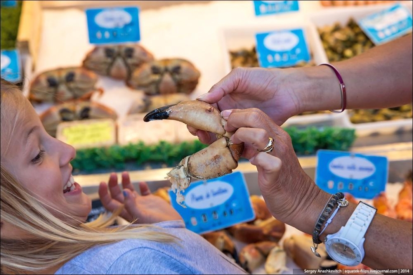 Oysters for three kopecks or a fish market on the shores of the English Channel