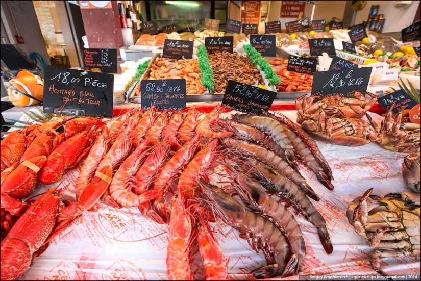 Oysters for three kopecks or a fish market on the shores of the English Channel