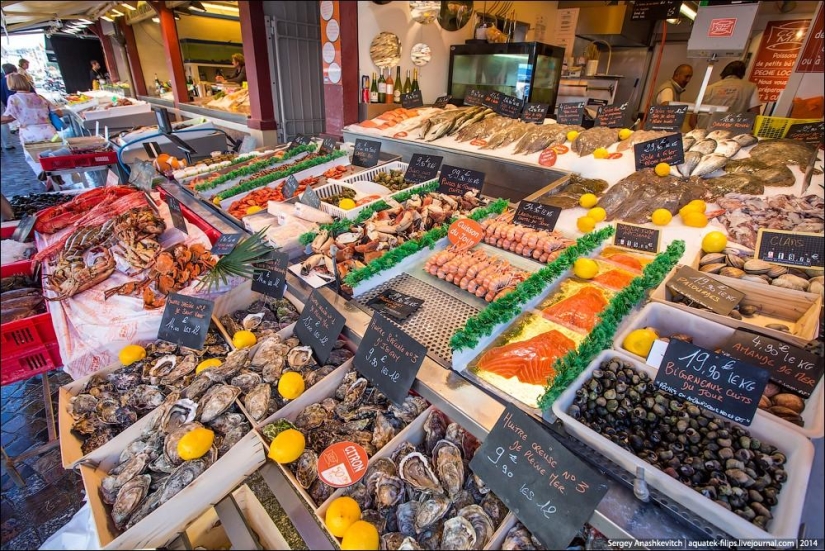 Oysters for three kopecks or a fish market on the shores of the English Channel