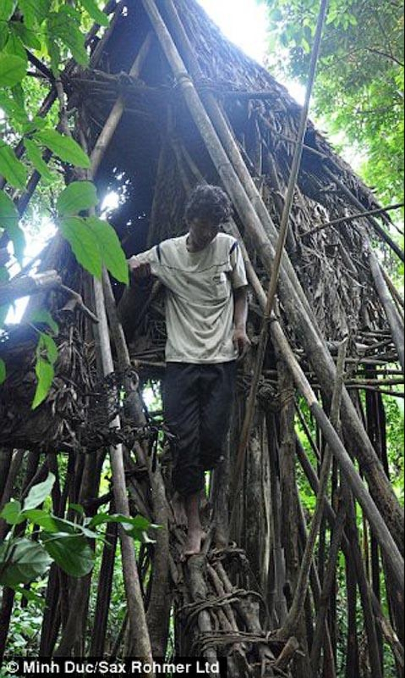 Padre e hijo encontrados en Vietnam escondidos en la selva durante 40 años