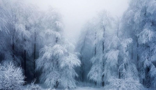 Paisajes de invierno relajantes por un fotógrafo alemán